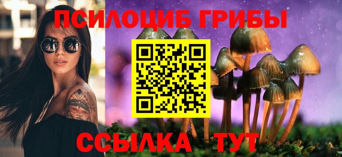 Галлюциногенные грибы GOLDEN TEACHER Волжский